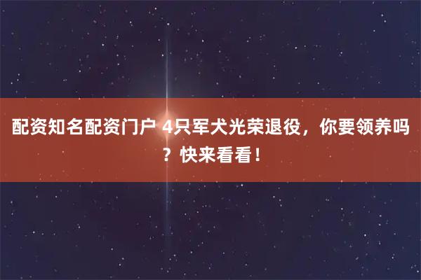 配资知名配资门户 4只军犬光荣退役，你要领养吗？快来看看！
