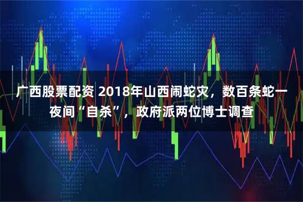 广西股票配资 2018年山西闹蛇灾，数百条蛇一夜间“自杀”，政府派两位博士调查