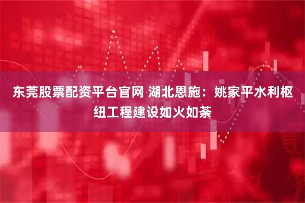 东莞股票配资平台官网 湖北恩施：姚家平水利枢纽工程建设如火如荼
